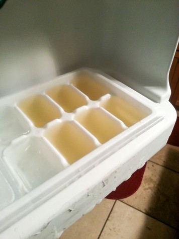 Step 2: Put the tray in to the freezer, wait an hour, and place a toothpick into the center of each juice cube.
