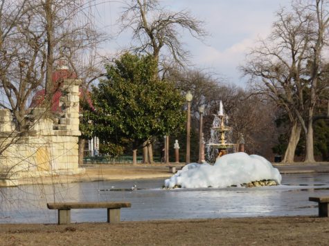 Tower Grove Park features open natural spaces, wide array of interesting subjects