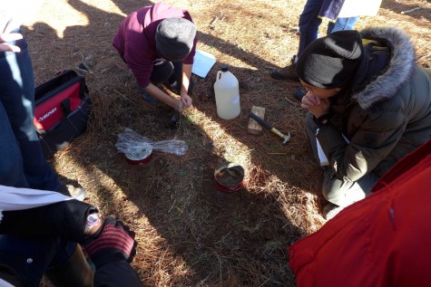 In this photo, the class is conducting a soil lab, in which they are doing a series of tests to measure quality of soil in a parking lot near a hill, and one in a bog. 