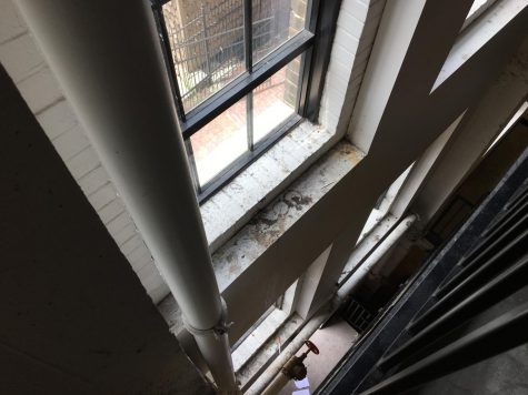 A view of the window sill from the third floor looking down. 