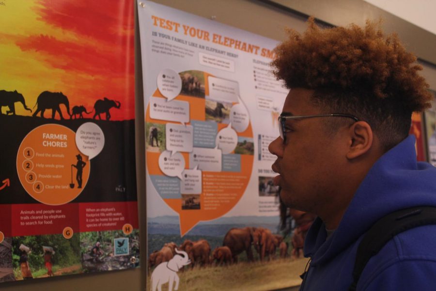 Hakim Faulk engages in banners provided by the Paly Foundation.