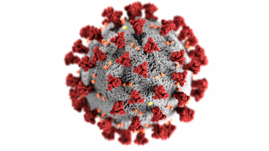 This illustration, created at the Centers for Disease Control and Prevention (CDC), reveals ultrastructural morphology exhibited by coronaviruses. Note the spikes that adorn the outer surface of the virus, which impart the look of a corona surrounding the virion, when viewed electron microscopically. A novel coronavirus, named Severe Acute Respiratory Syndrome coronavirus 2 (SARS-CoV-2), was identified as the cause of an outbreak of respiratory illness first detected in Wuhan, China in 2019. The illness caused by this virus has been named coronavirus disease 2019 (COVID-19).